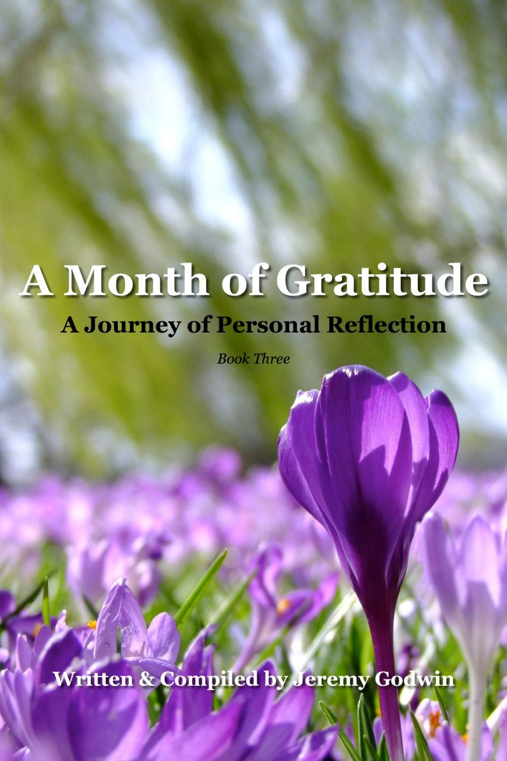 Big bigCover of A Month of Gratitude