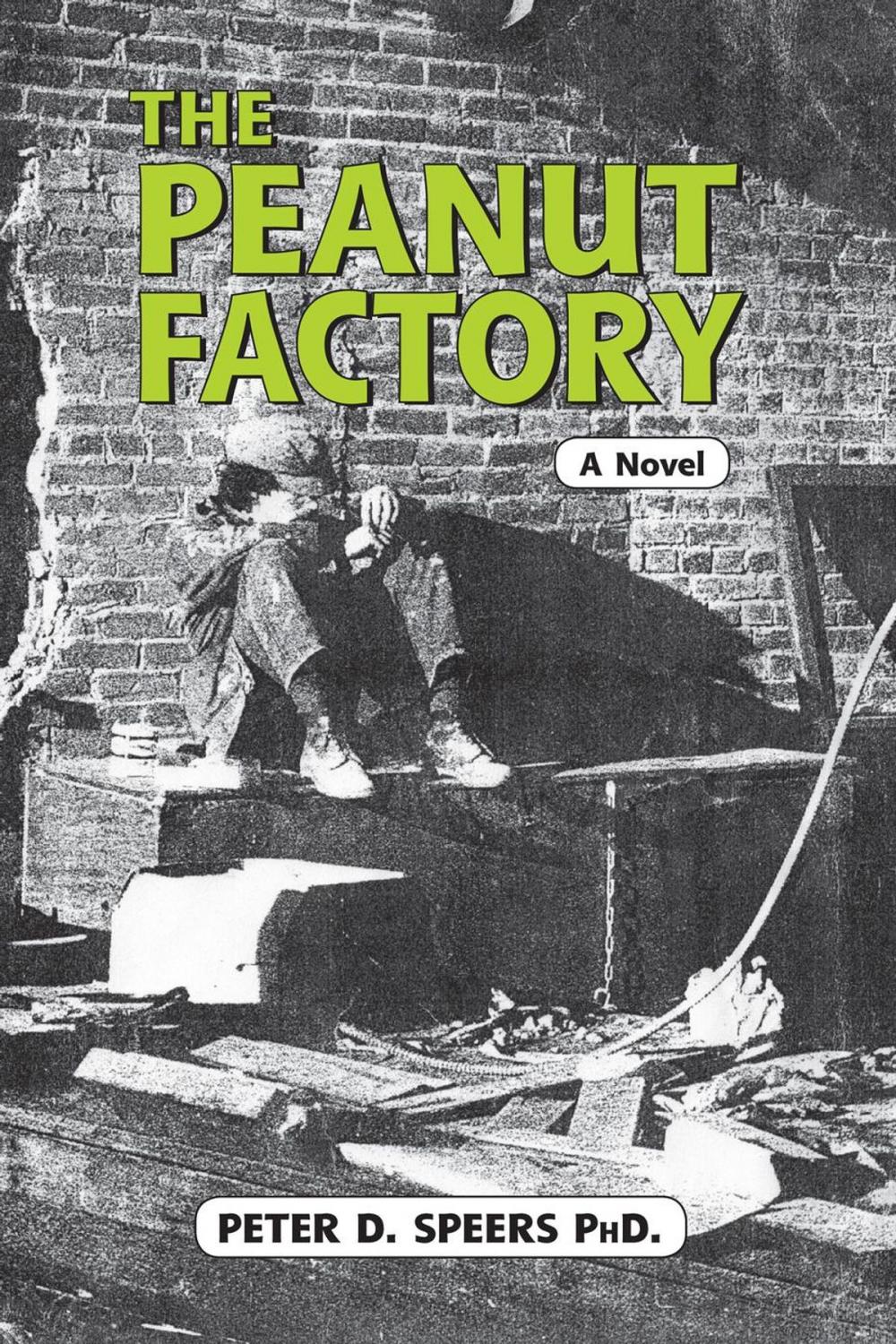 Big bigCover of The Peanut Factory