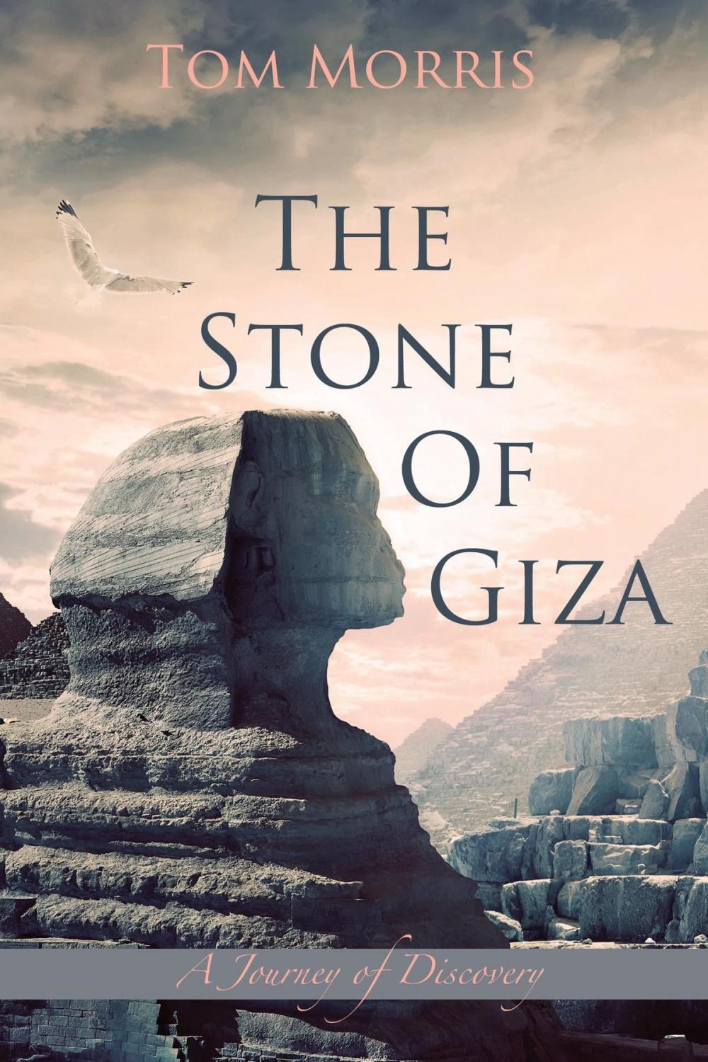 Big bigCover of The Stone of Giza