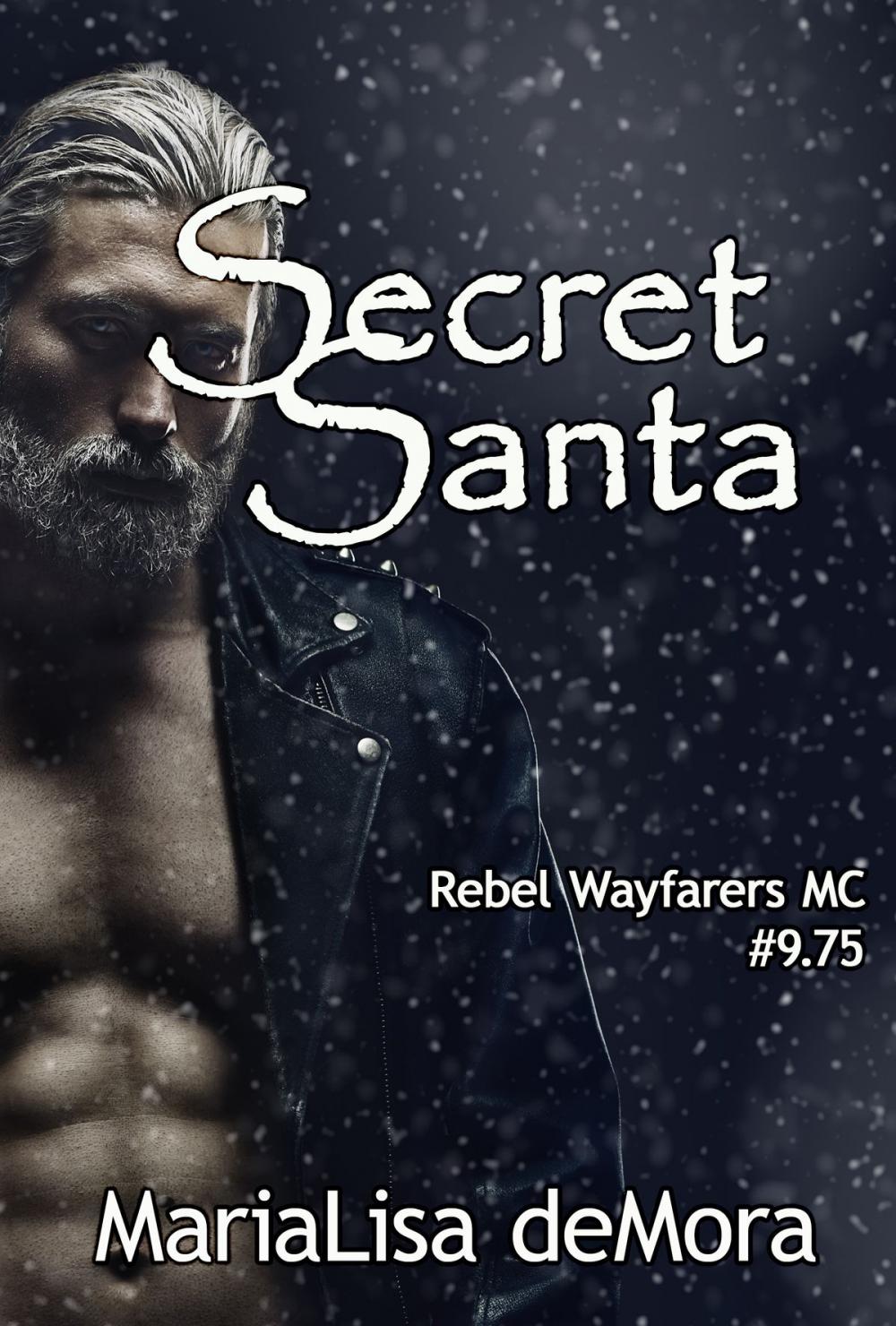 Big bigCover of Secret Santa