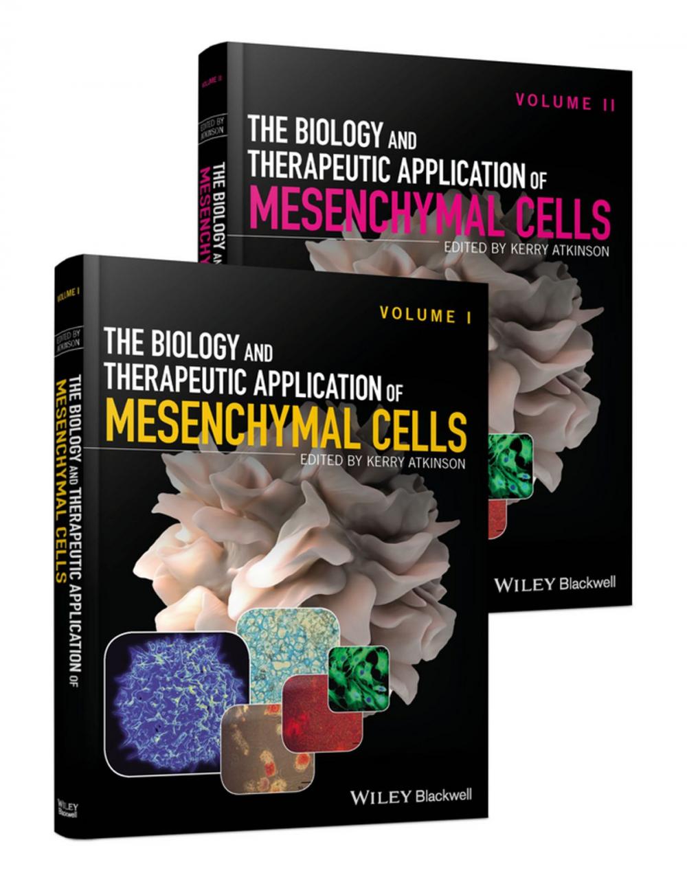 Big bigCover of The Biology and Therapeutic Application of Mesenchymal Cells