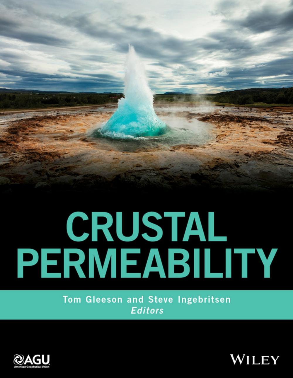 Big bigCover of Crustal Permeability