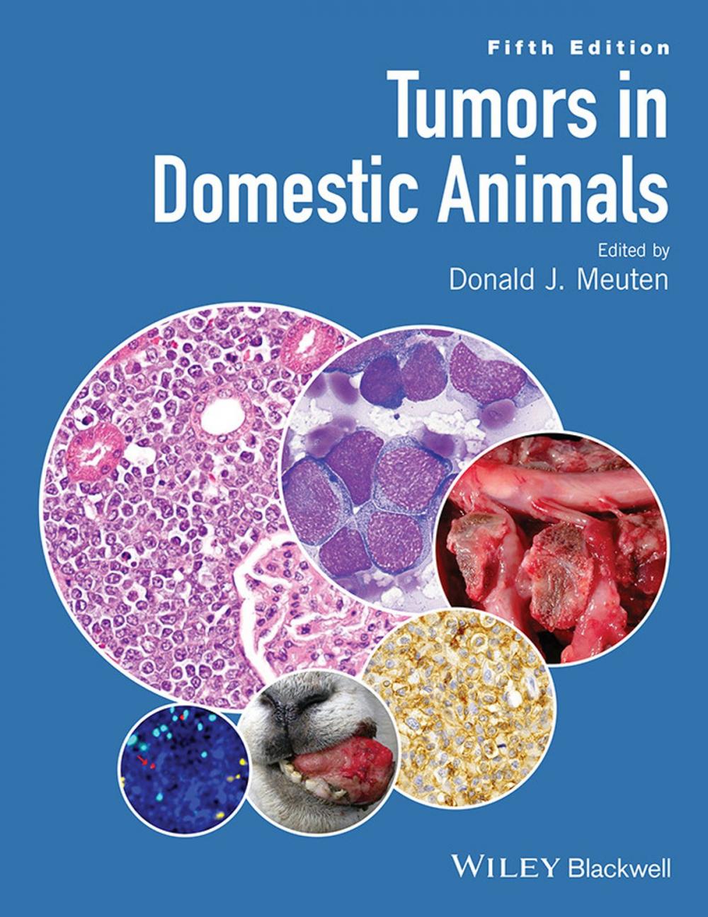 Big bigCover of Tumors in Domestic Animals