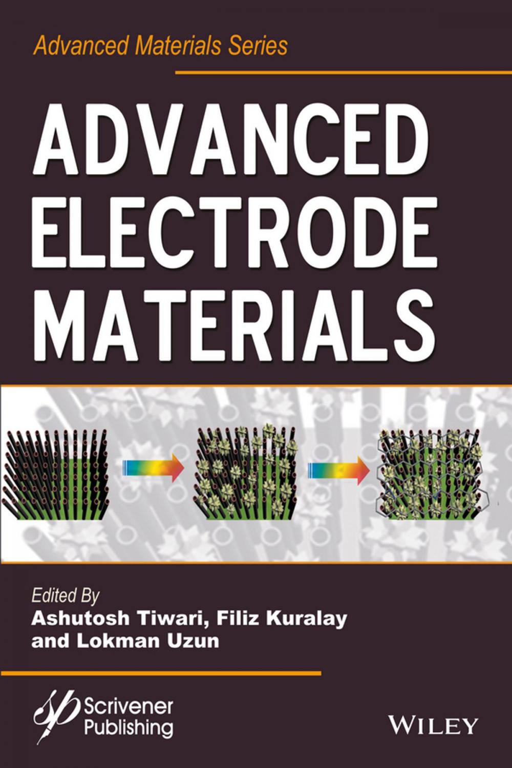 Big bigCover of Advanced Electrode Materials