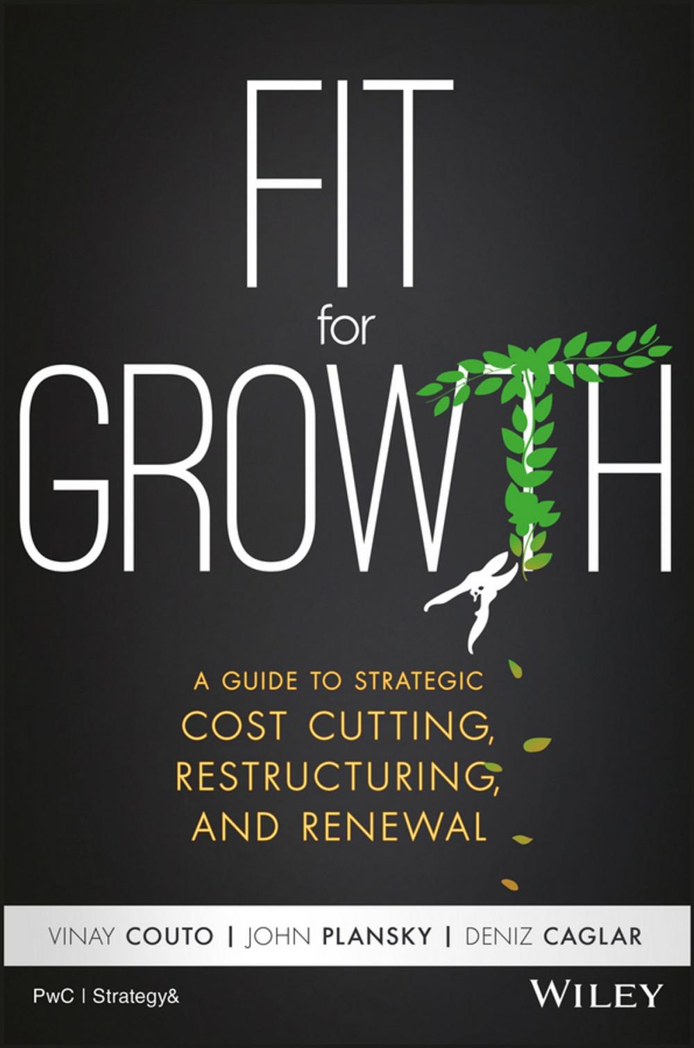 Big bigCover of Fit for Growth