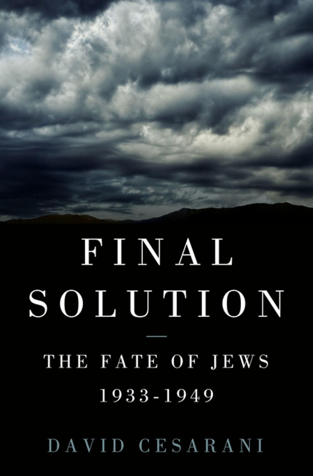 Big bigCover of Final Solution