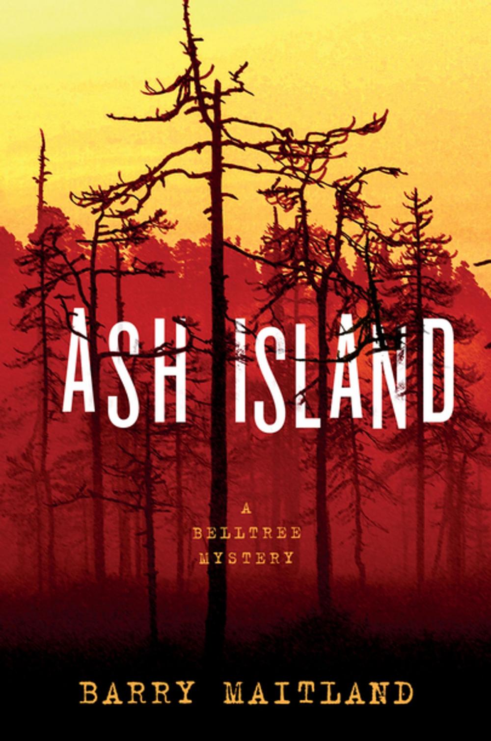 Big bigCover of Ash Island