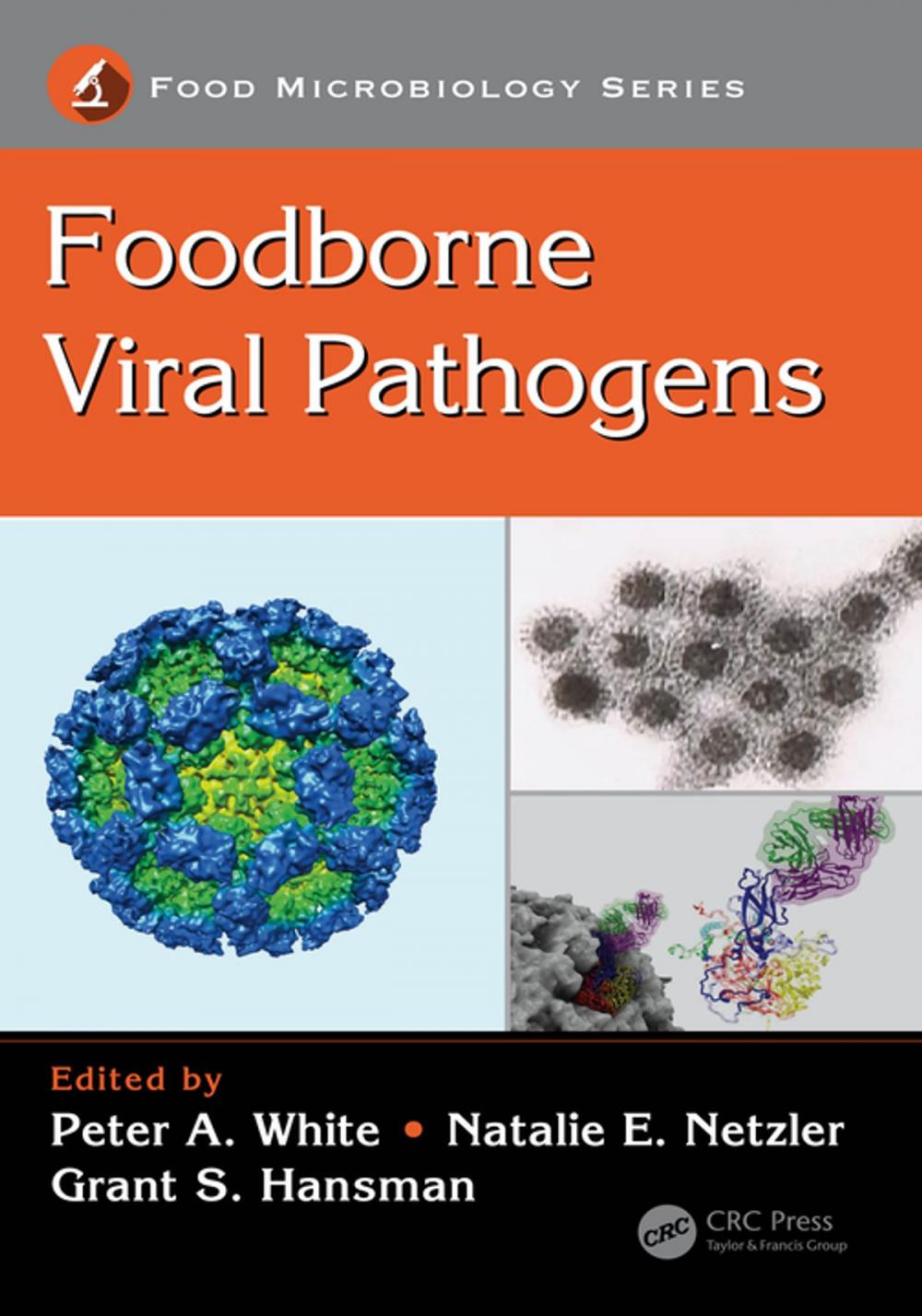 Big bigCover of Foodborne Viral Pathogens