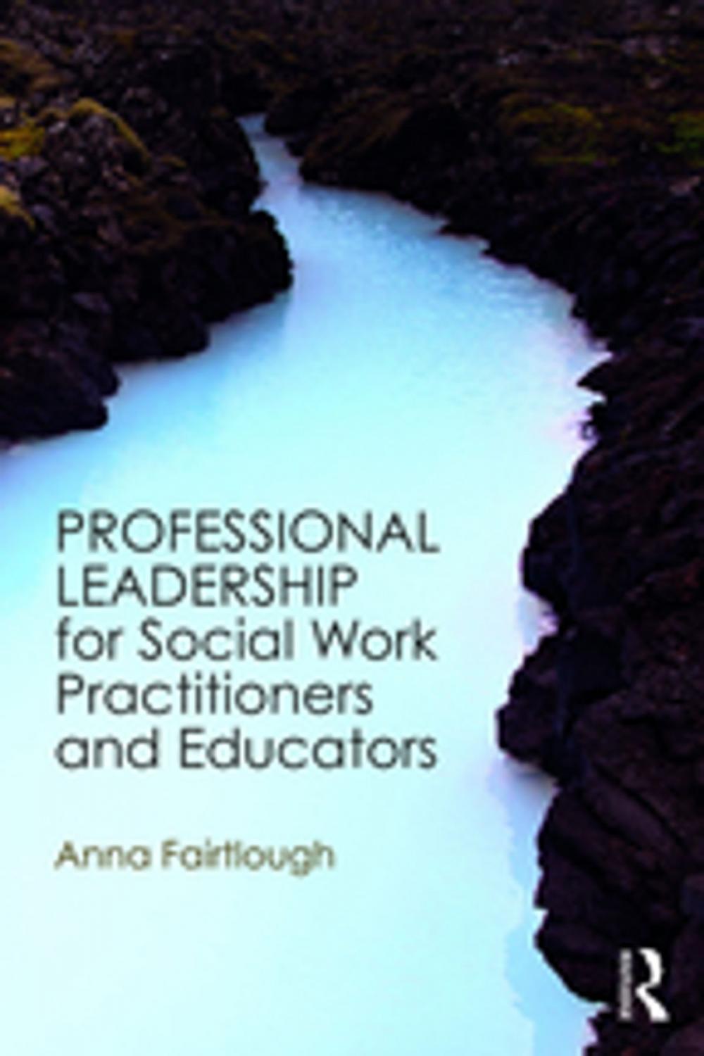 Big bigCover of Professional Leadership for Social Work Practitioners and Educators