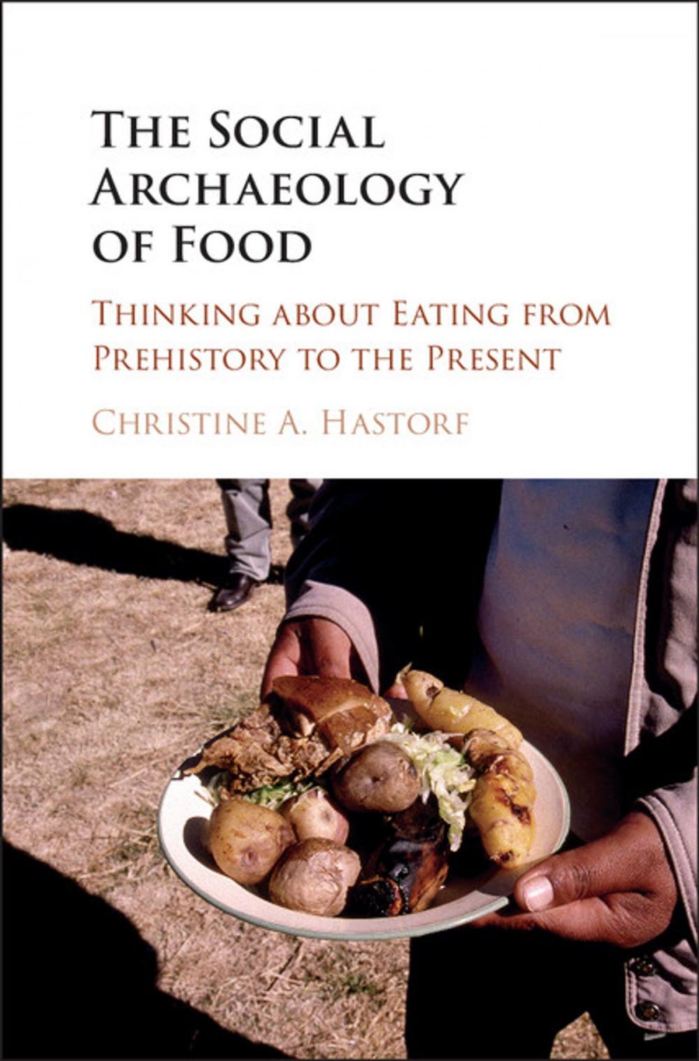 Big bigCover of The Social Archaeology of Food