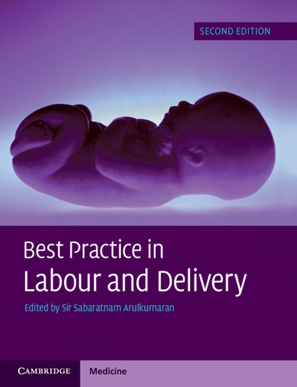 Big bigCover of Best Practice in Labour and Delivery