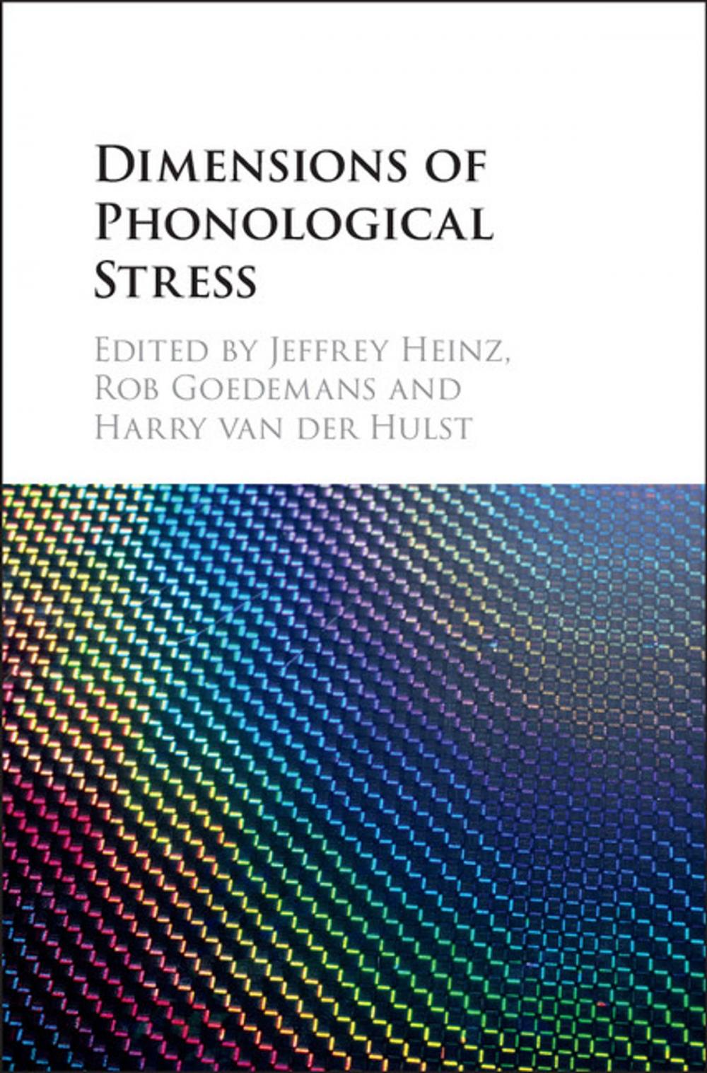 Big bigCover of Dimensions of Phonological Stress