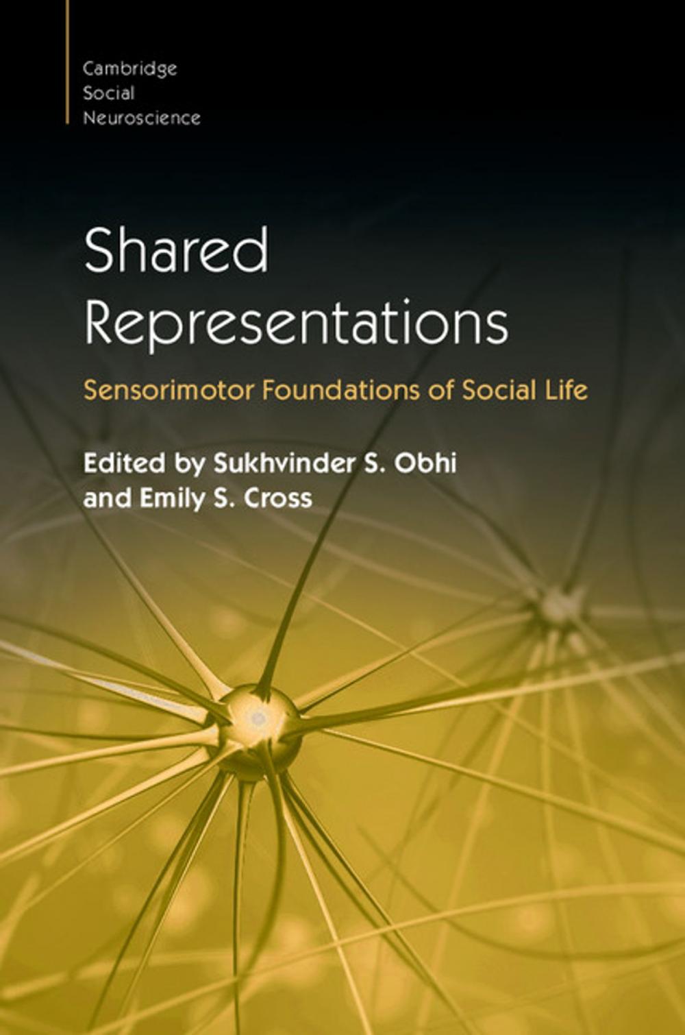 Big bigCover of Shared Representations