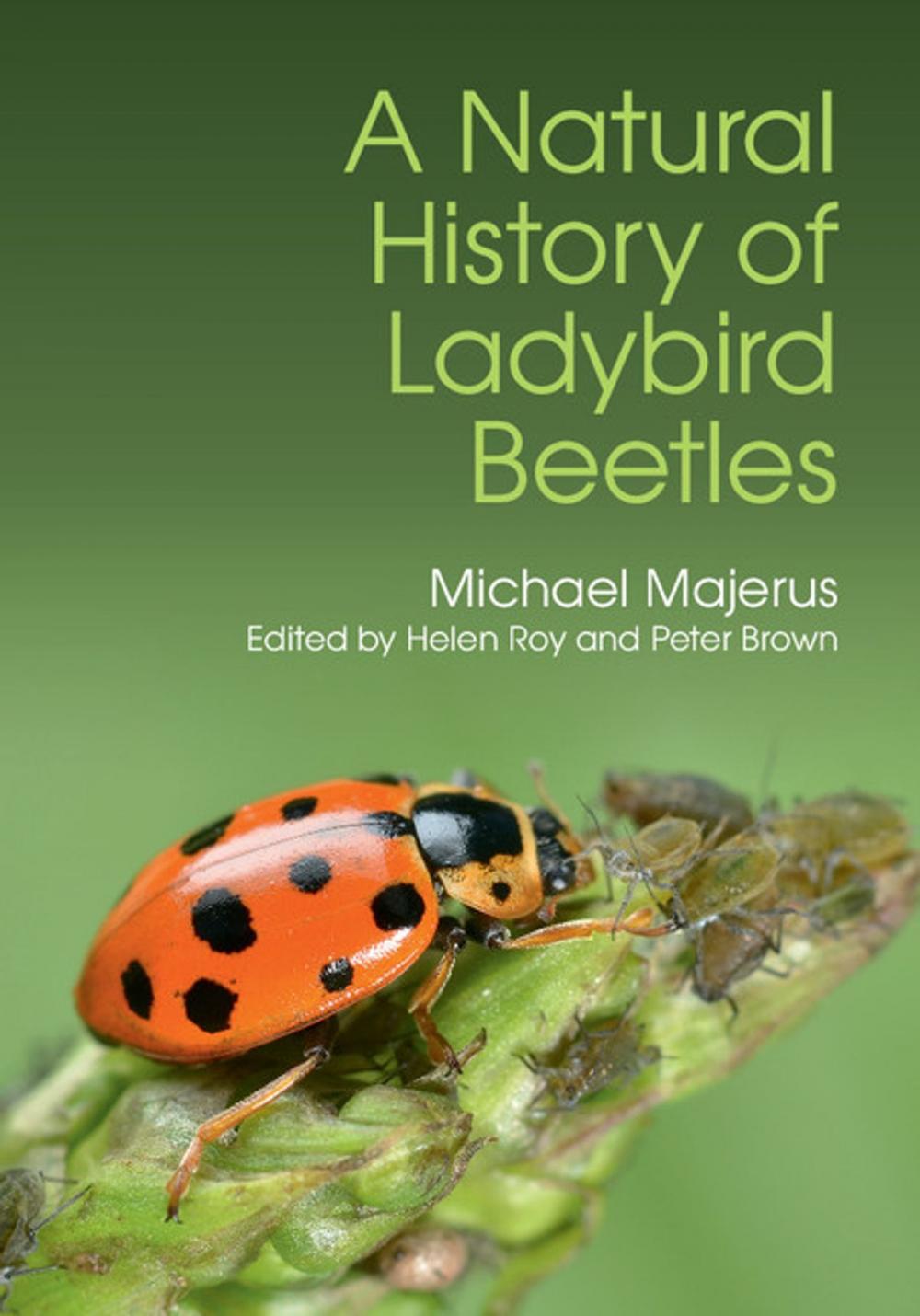 Big bigCover of A Natural History of Ladybird Beetles