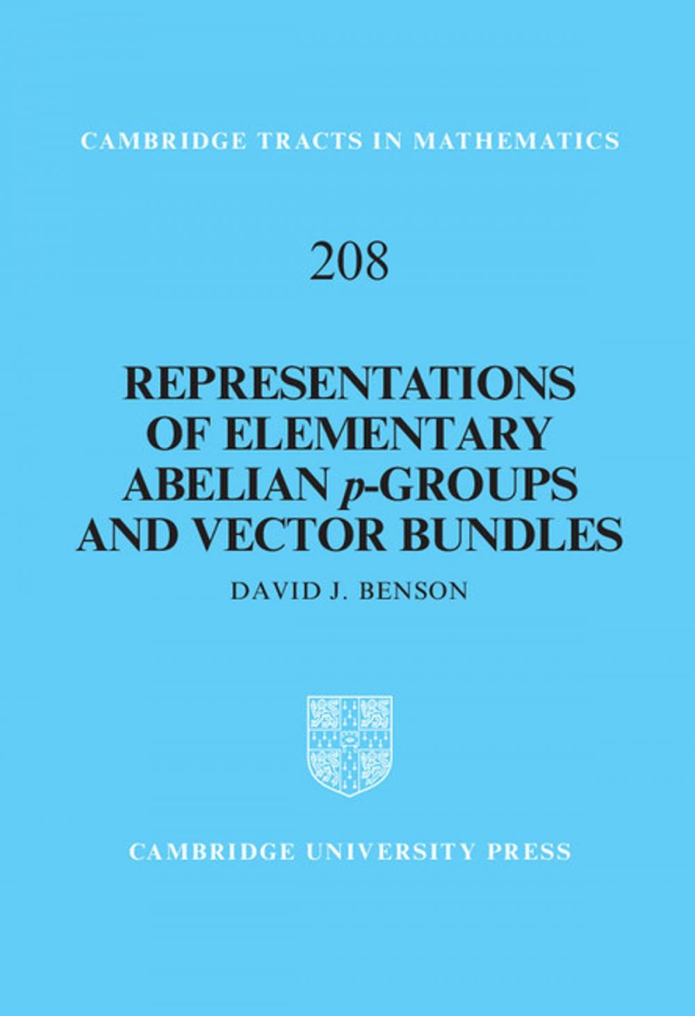 Big bigCover of Representations of Elementary Abelian p-Groups and Vector Bundles