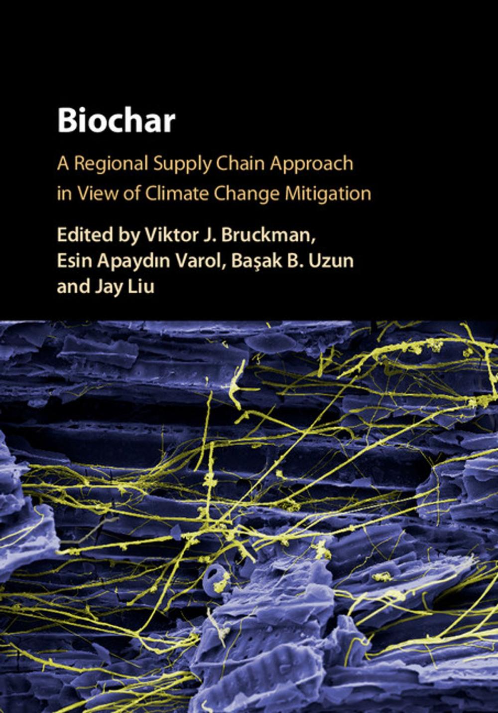 Big bigCover of Biochar