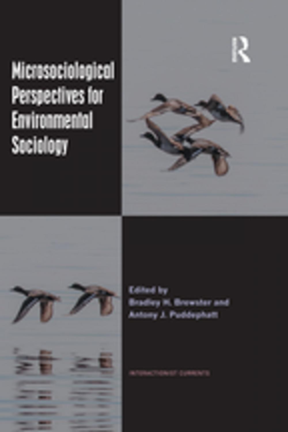 Big bigCover of Microsociological Perspectives for Environmental Sociology