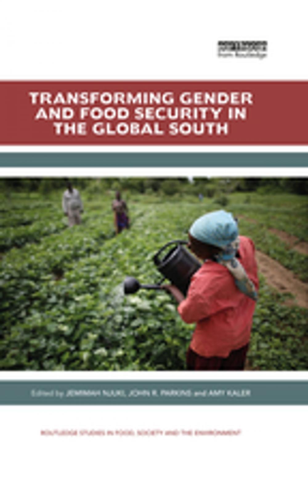 Big bigCover of Transforming Gender and Food Security in the Global South