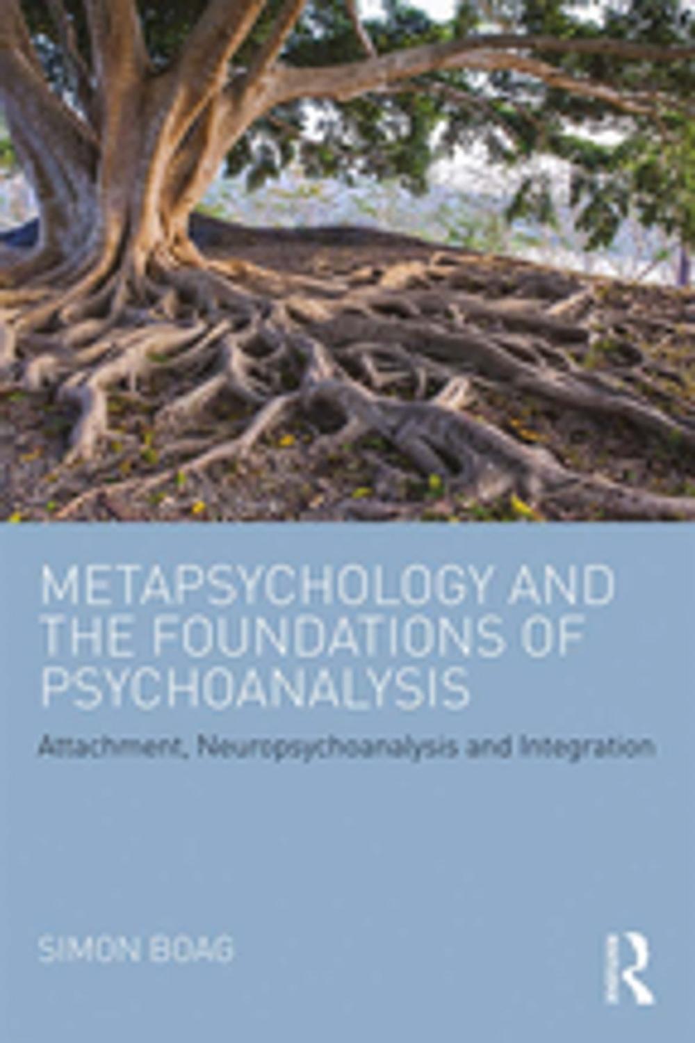 Big bigCover of Metapsychology and the Foundations of Psychoanalysis