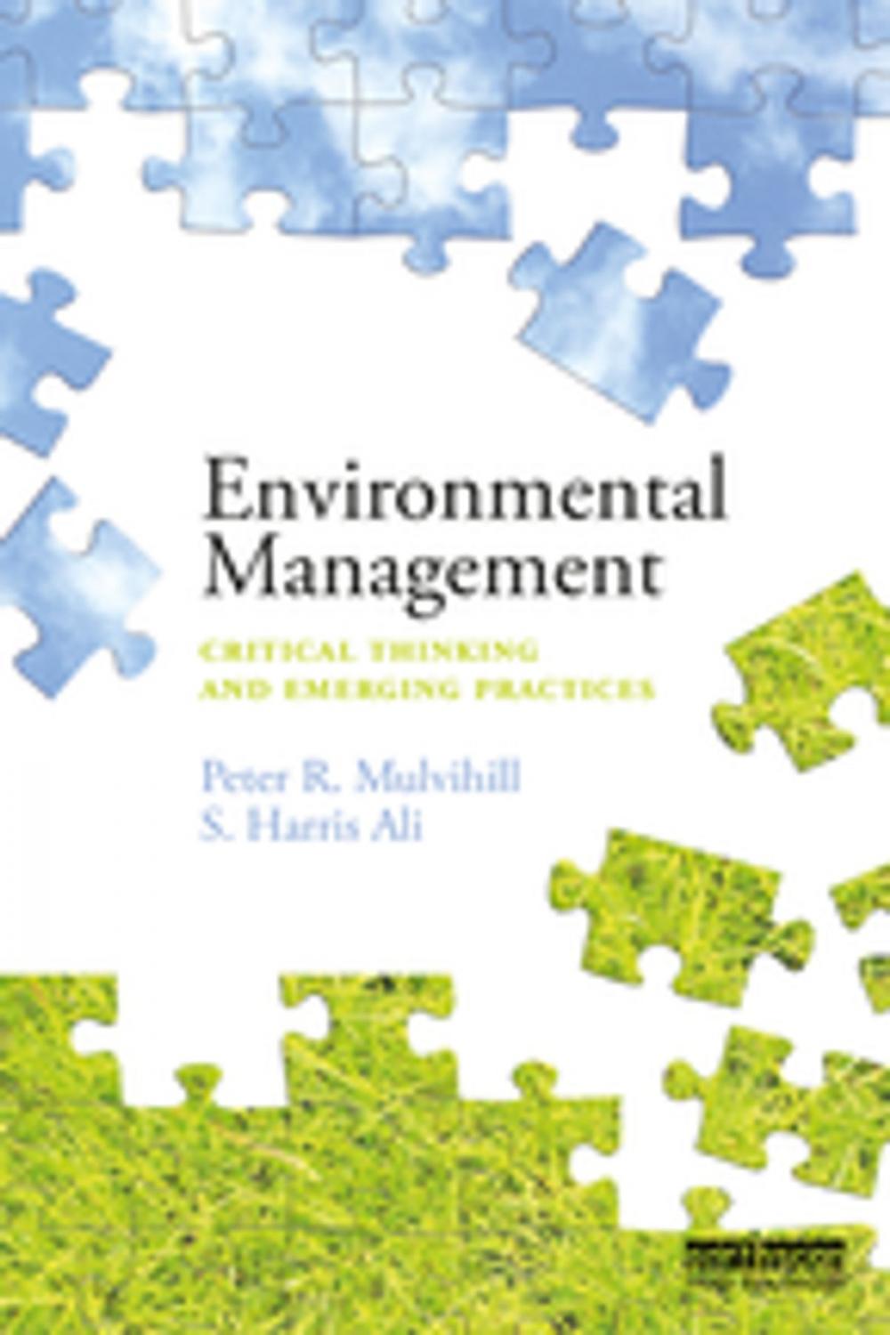 Big bigCover of Environmental Management