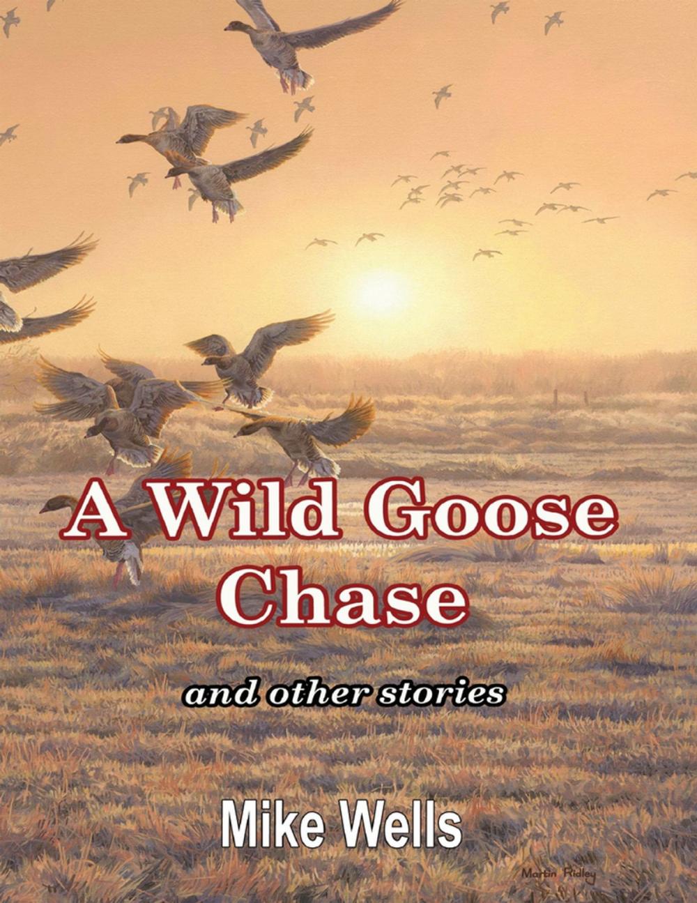 Big bigCover of A Wild Goose Chase: And Other Stories