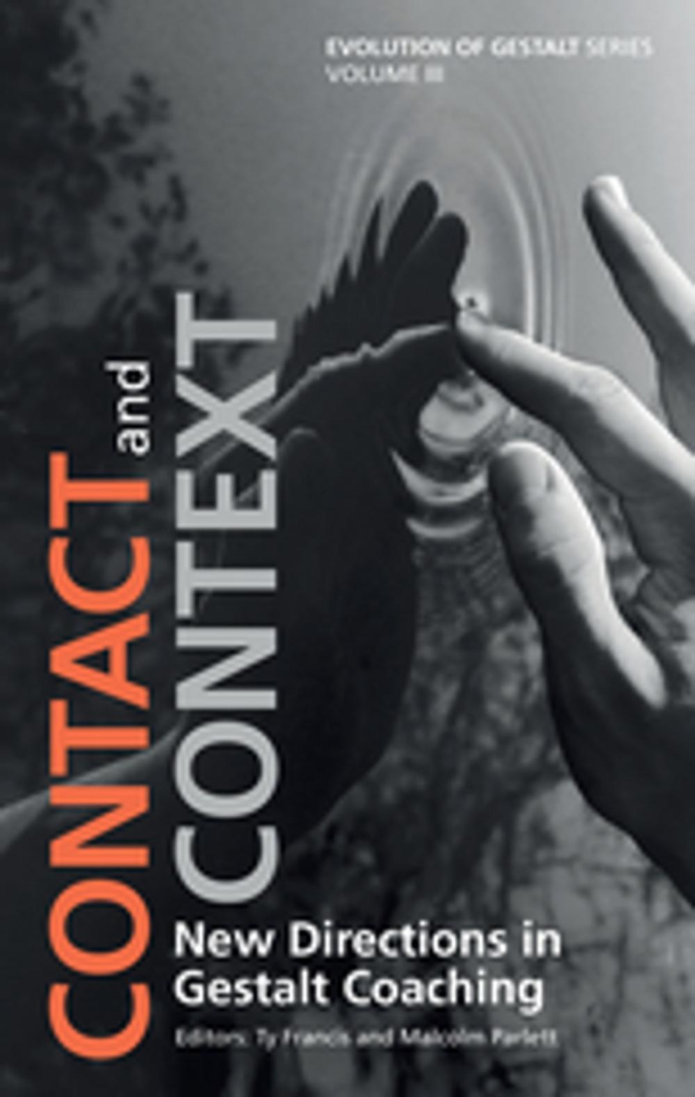 Big bigCover of Contact and Context