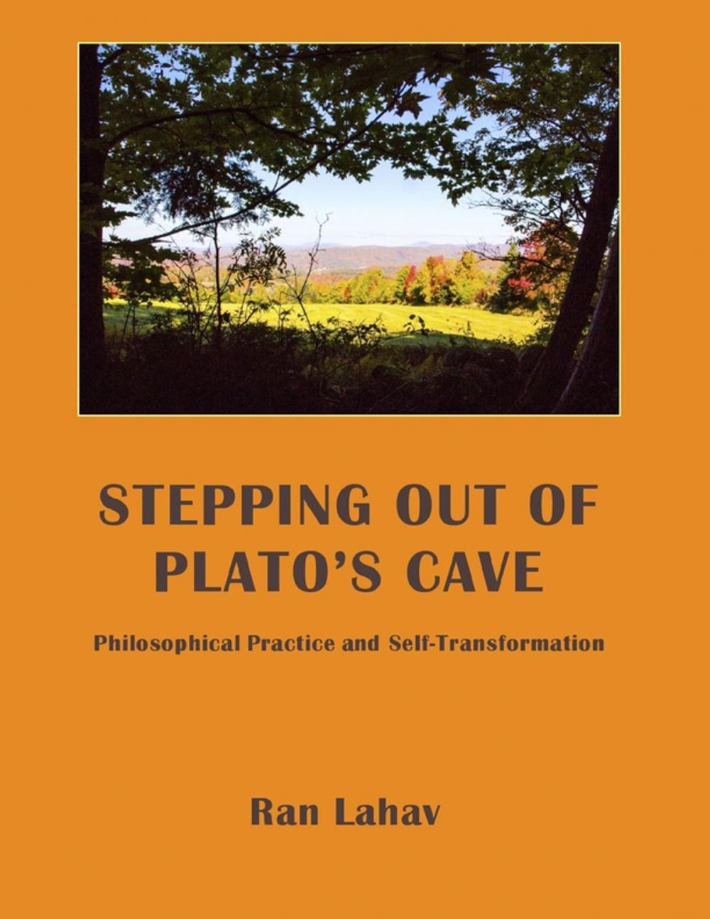 Big bigCover of Stepping Out of Plato's Cave