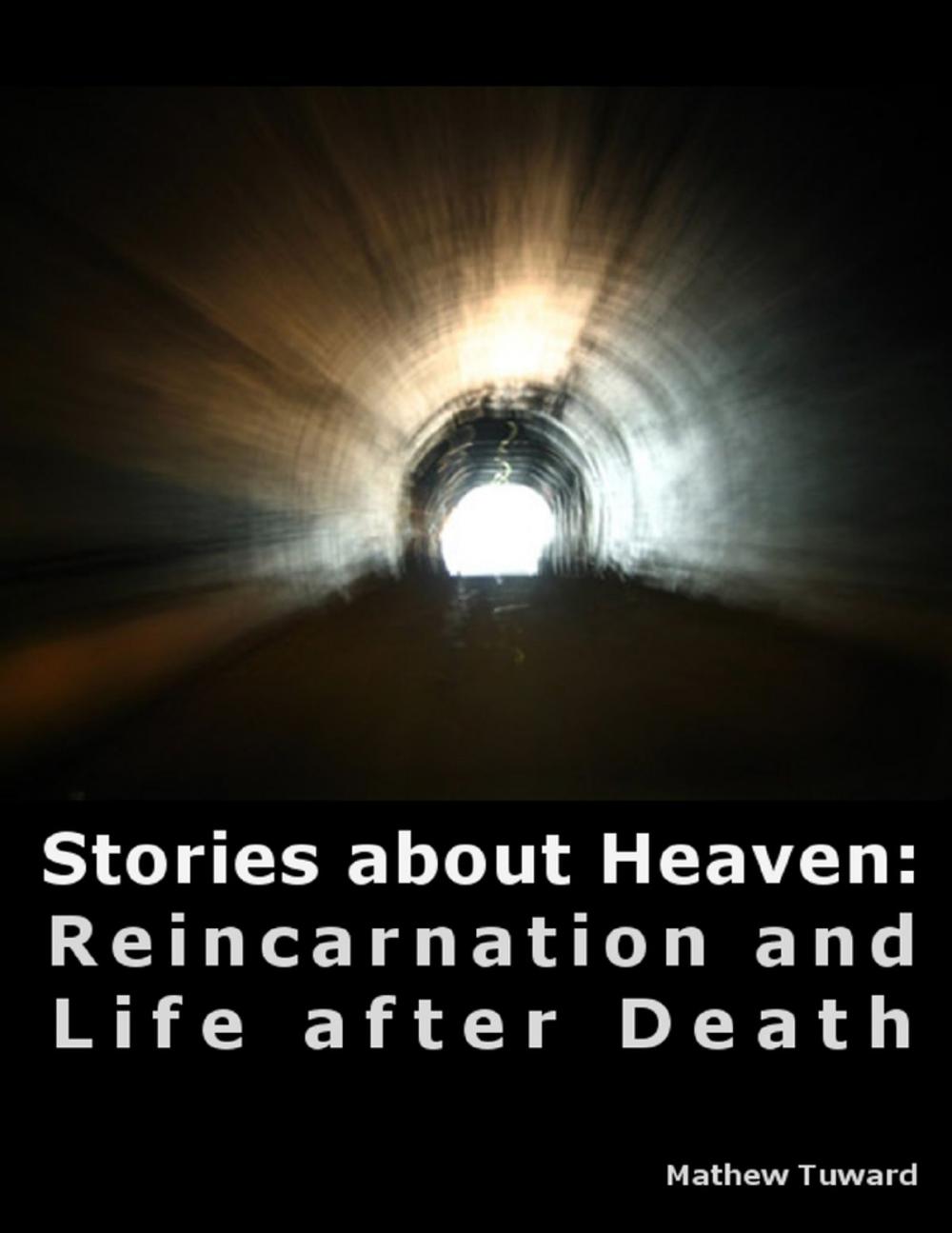Big bigCover of Stories About Heaven: Reincarnation and Life After Death
