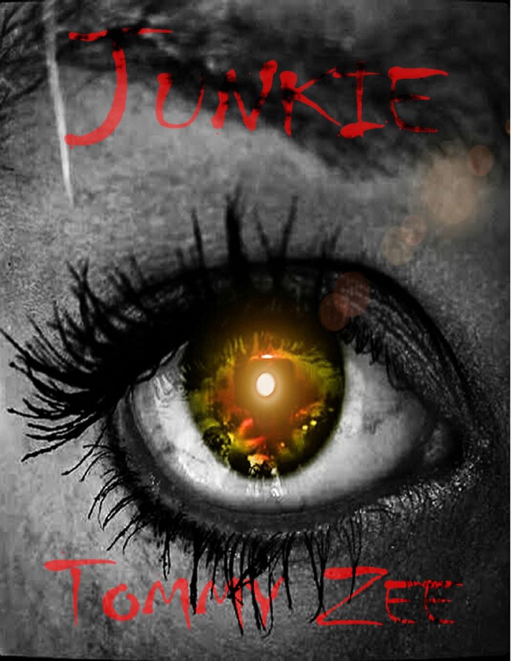 Big bigCover of Junkie