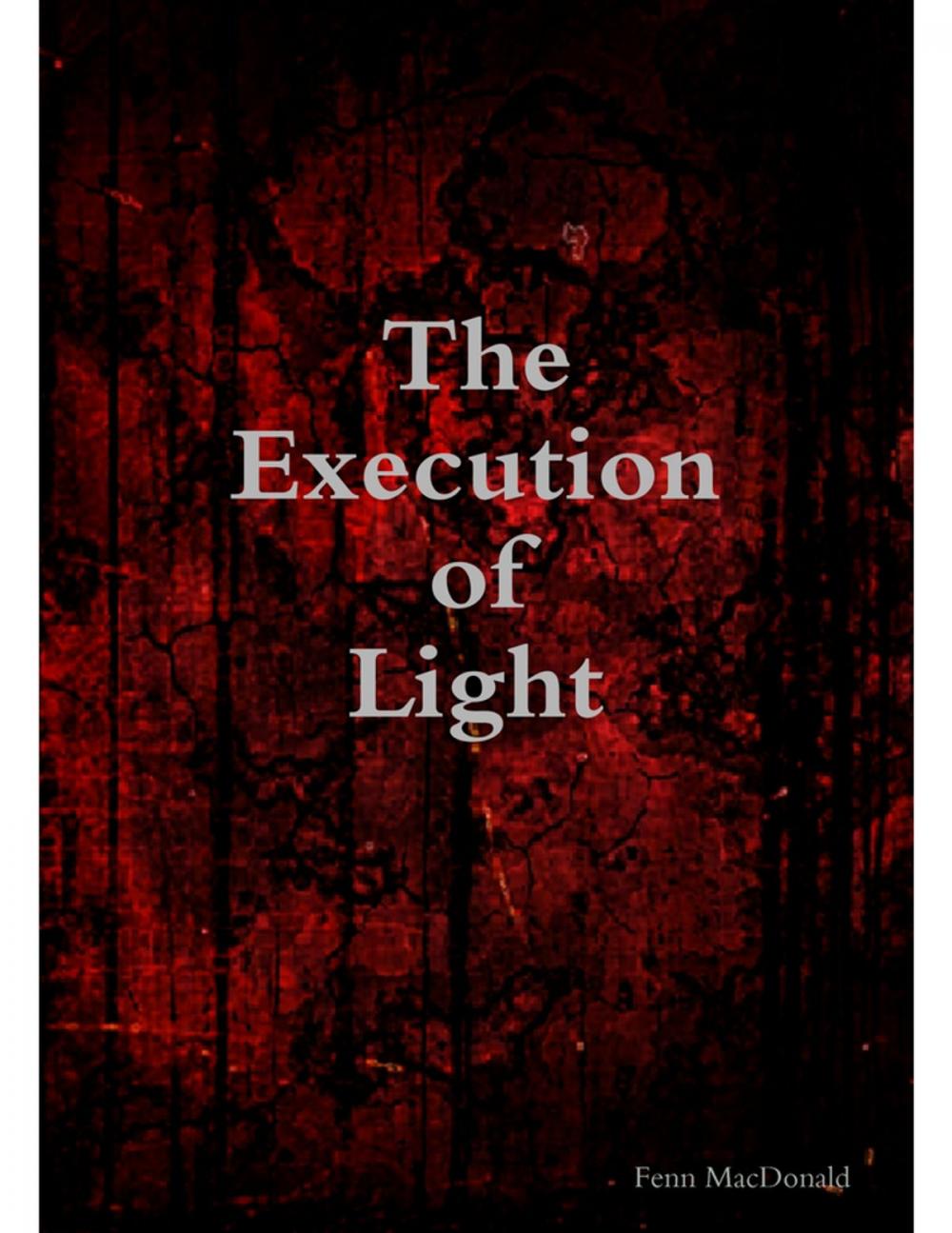 Big bigCover of The Execution of Light