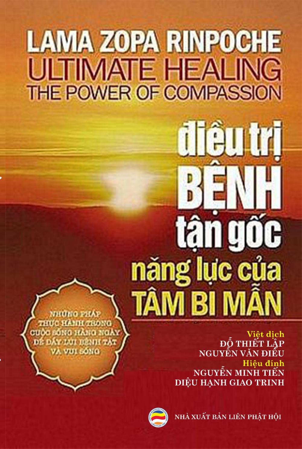 Big bigCover of Điều trị bệnh tận gốc