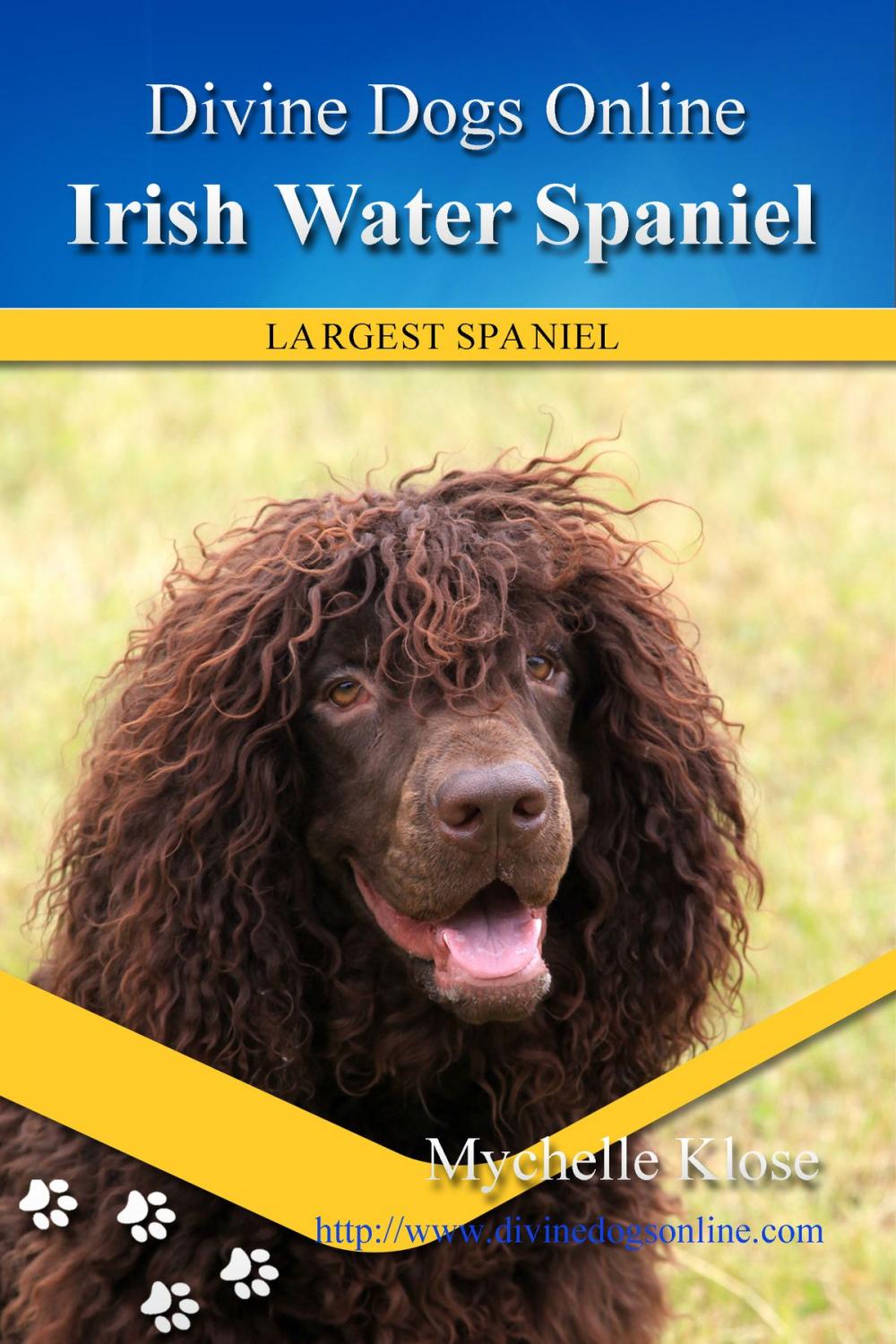 Big bigCover of Irish Water Spaniel
