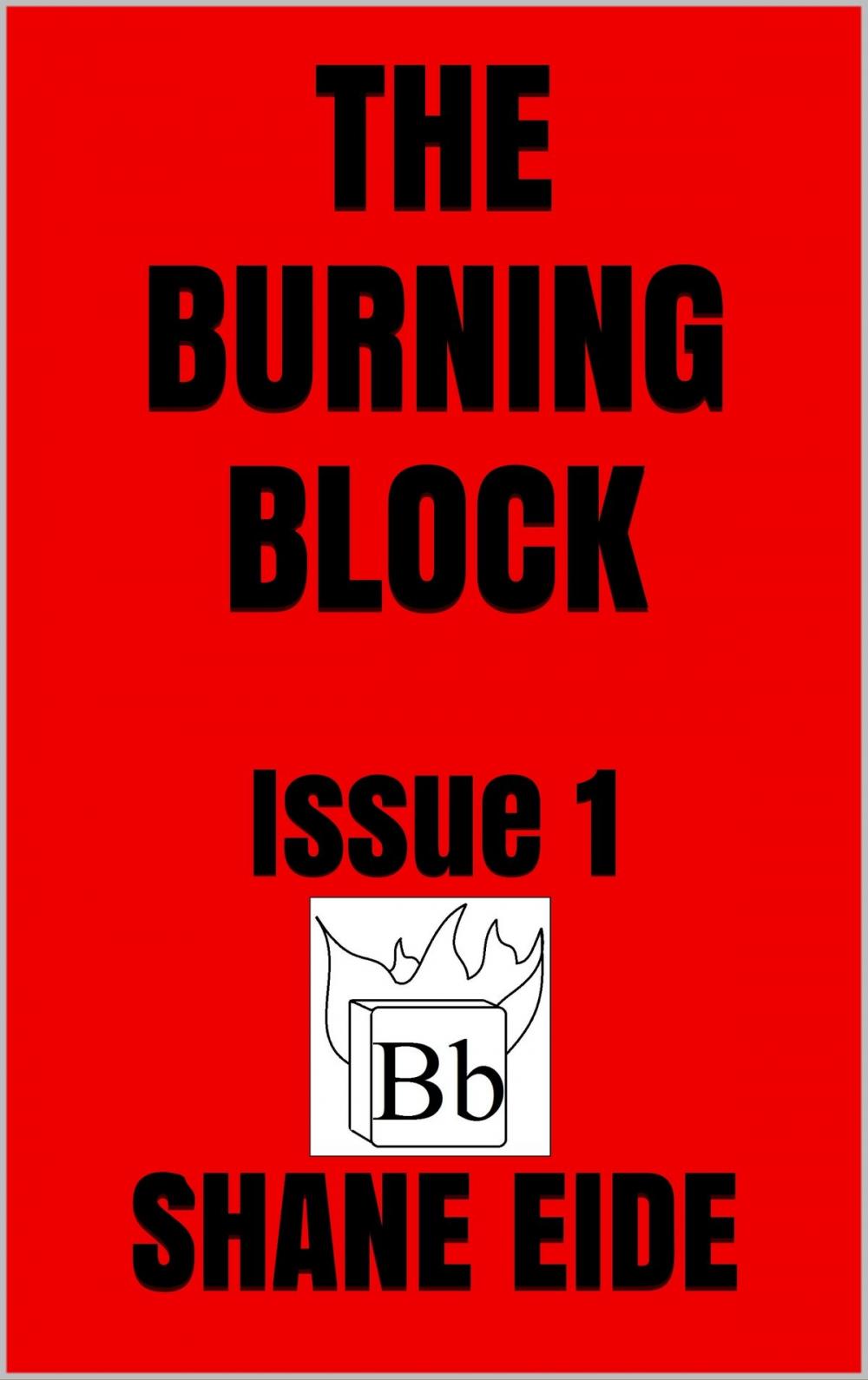 Big bigCover of The Burning Block Issue 1