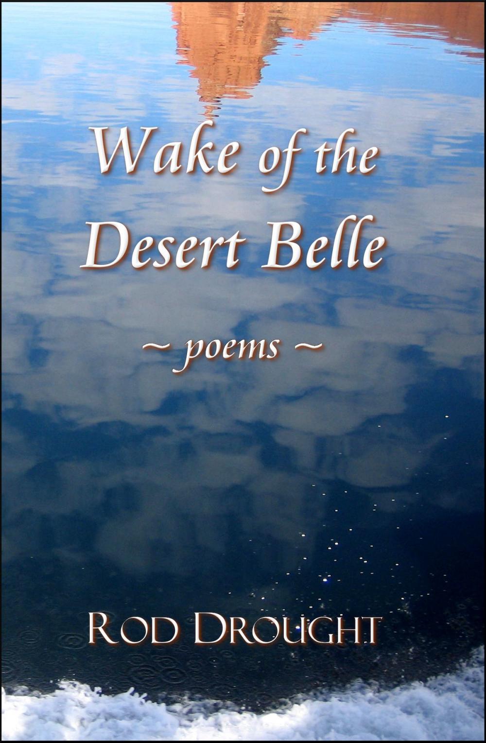 Big bigCover of Wake of the Desert Belle