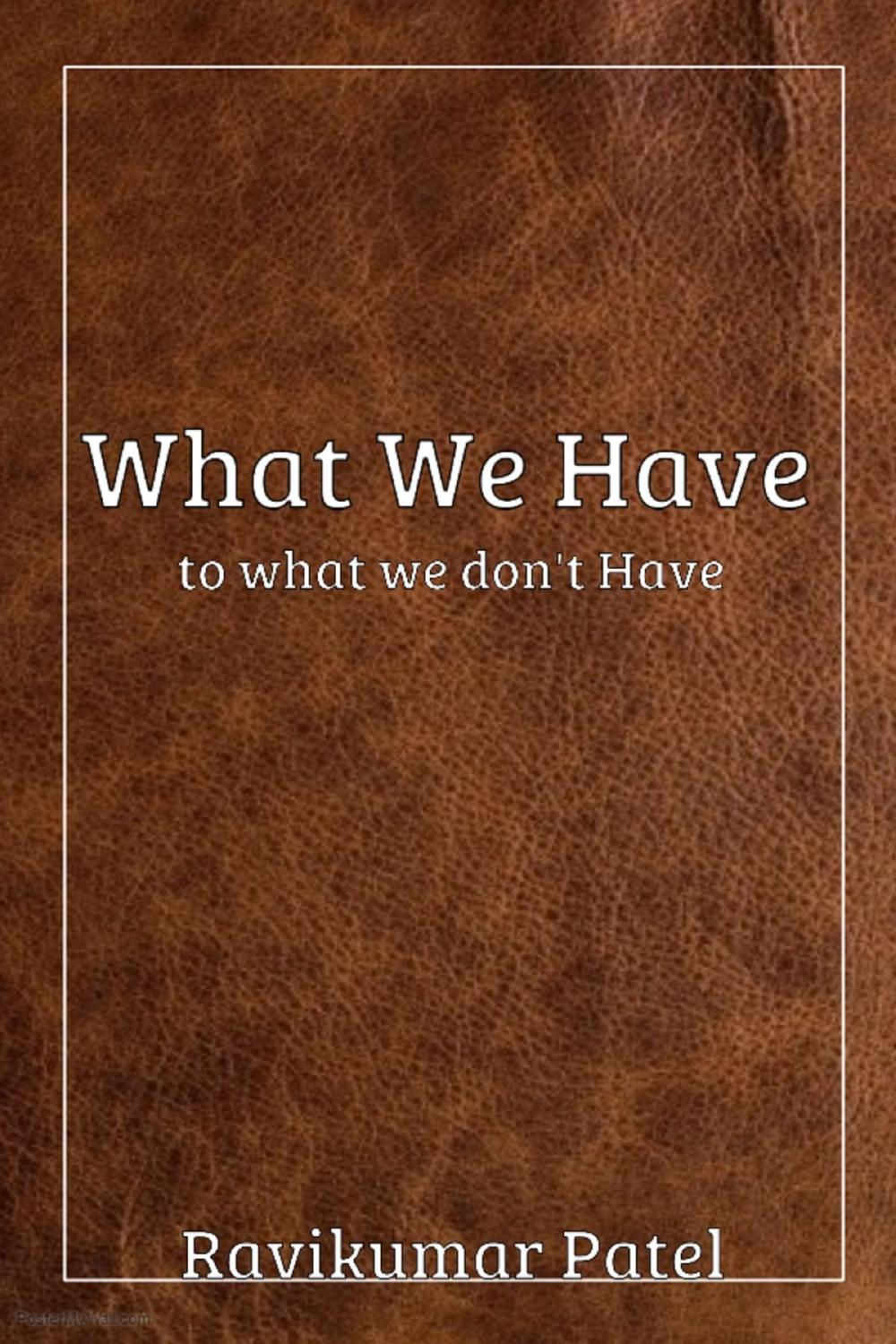 Big bigCover of What We Have To What We Don't Have