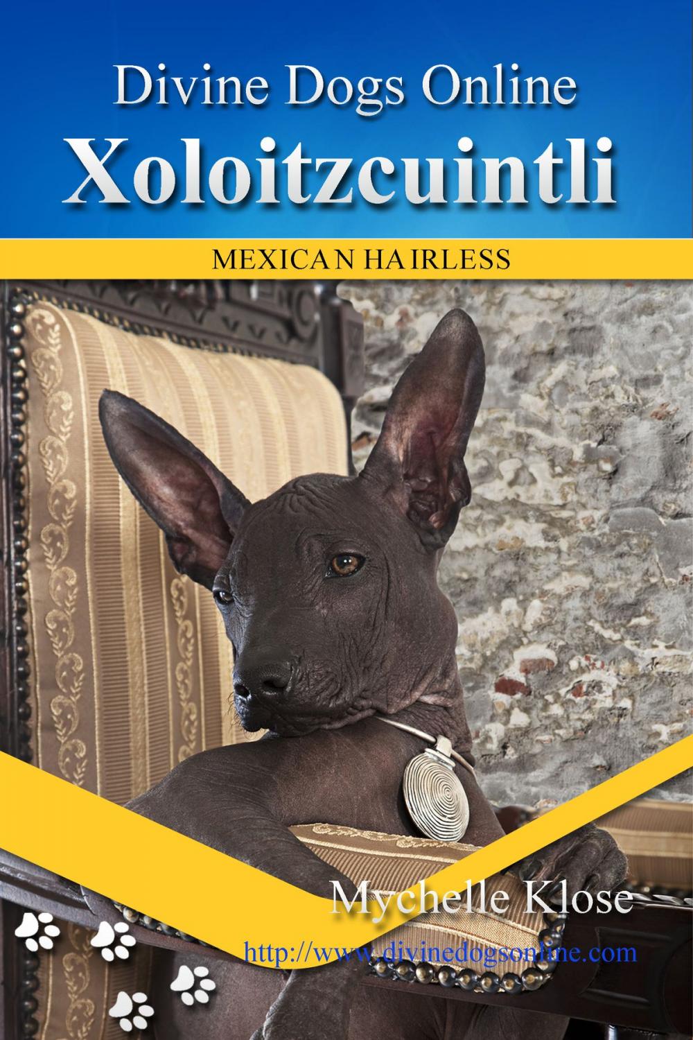 Big bigCover of Xoloitzcuintli (Mexican Hairless)