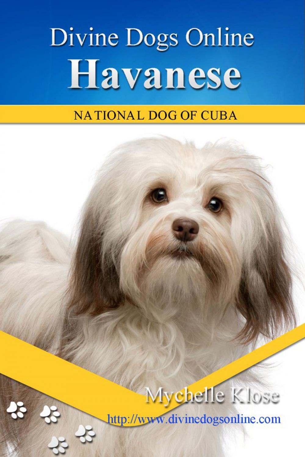 Big bigCover of Havanese