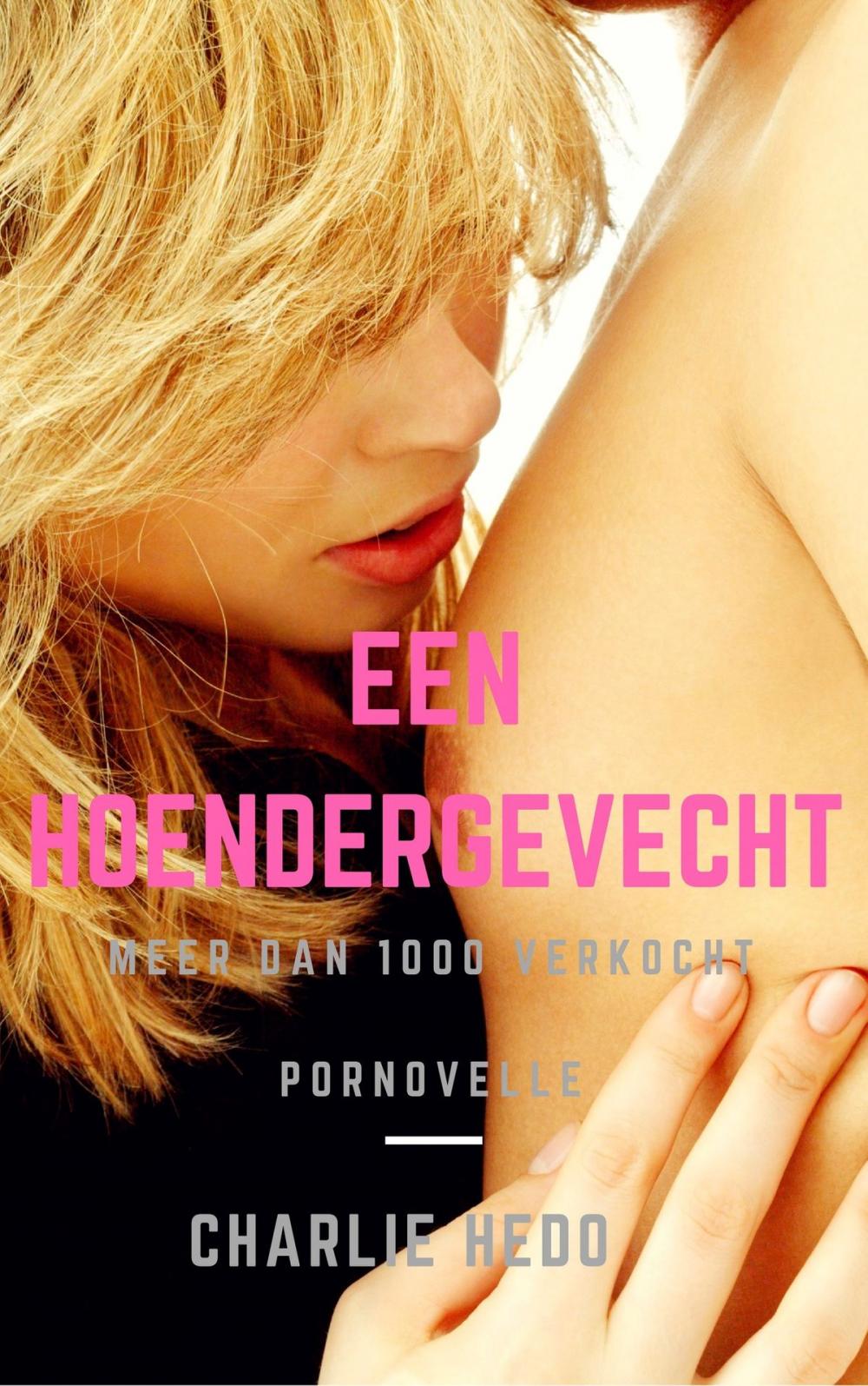 Big bigCover of Een Hoendergevecht