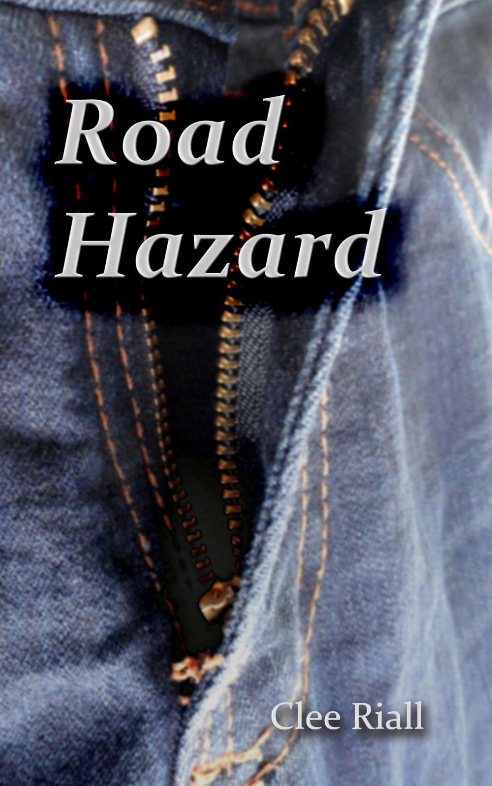 Big bigCover of Road Hazard