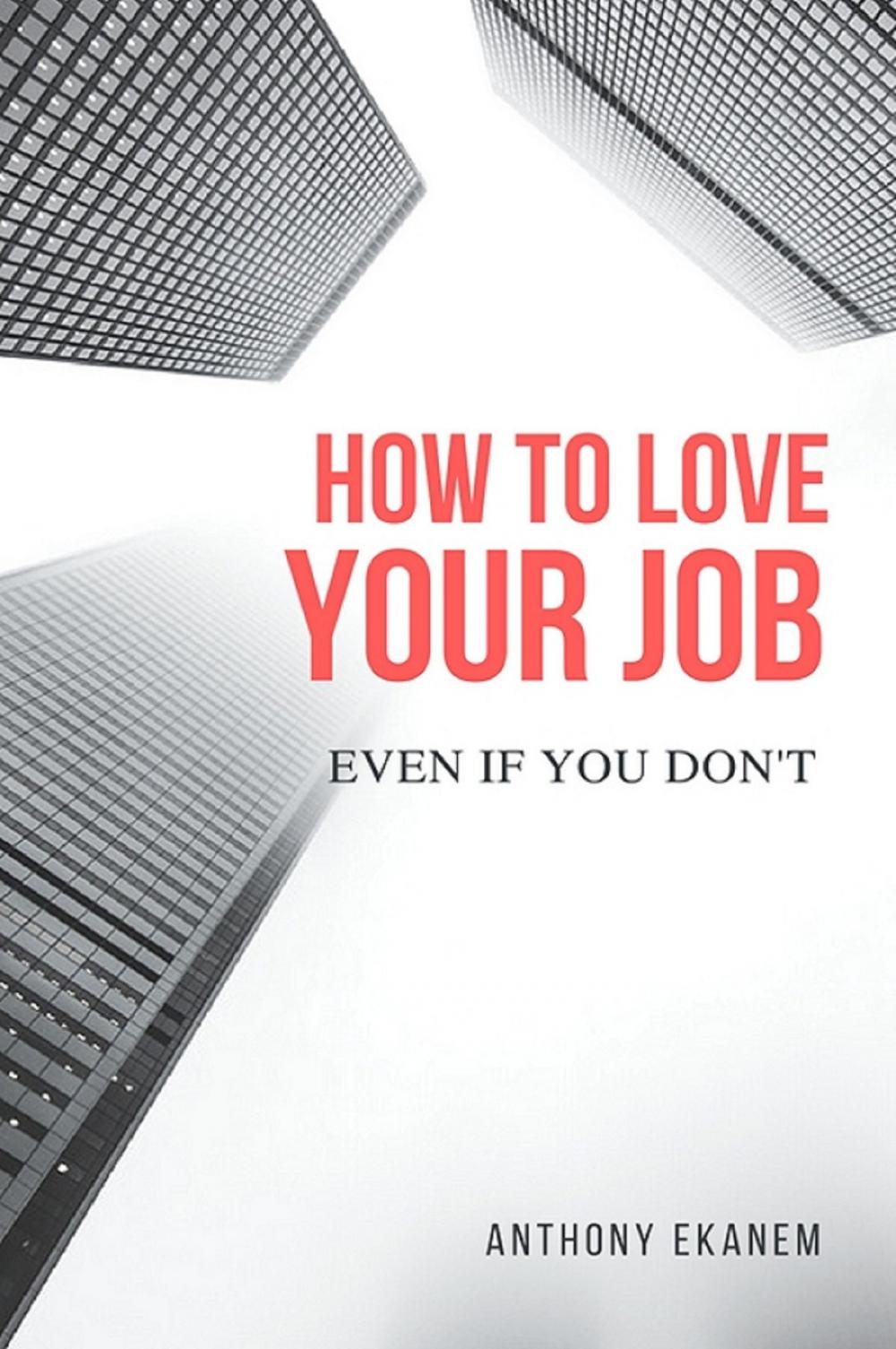 Big bigCover of How to Love Your Job