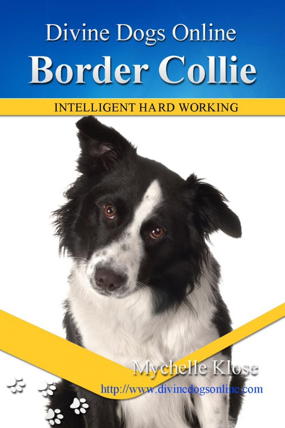 Big bigCover of Border Collie