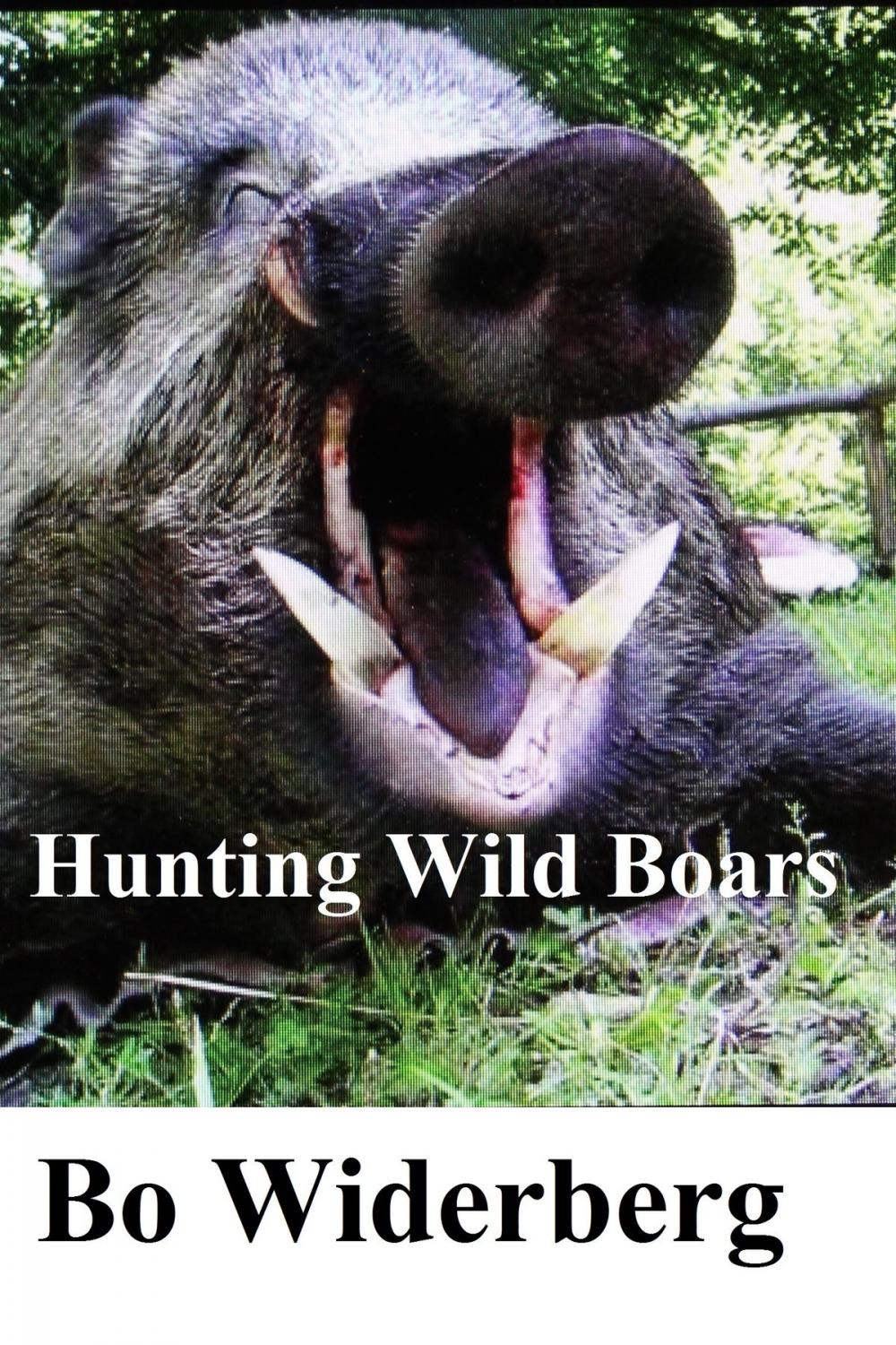 Big bigCover of Hunting Wild Boars