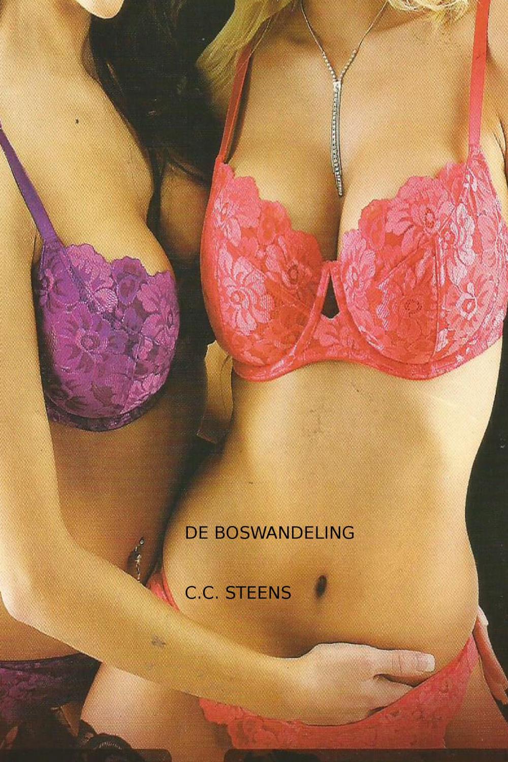 Big bigCover of De Boswandeling