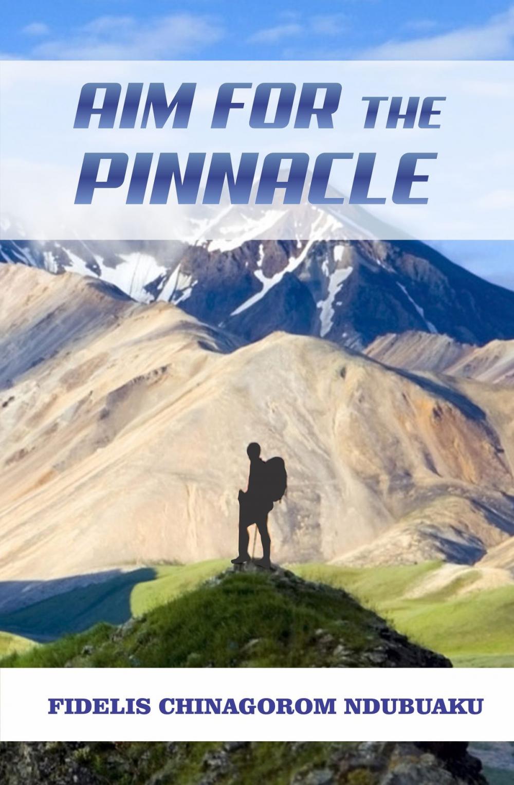 Big bigCover of Aim for the Pinnacle