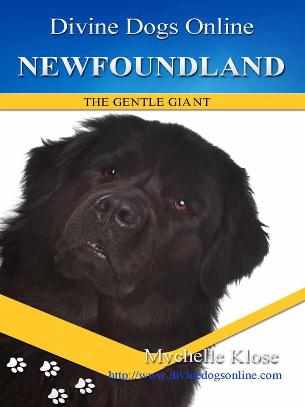 Big bigCover of Newfoundland