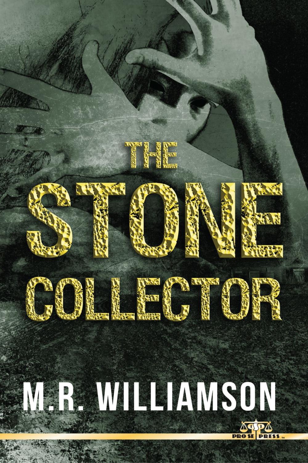 Big bigCover of The Stone Collector