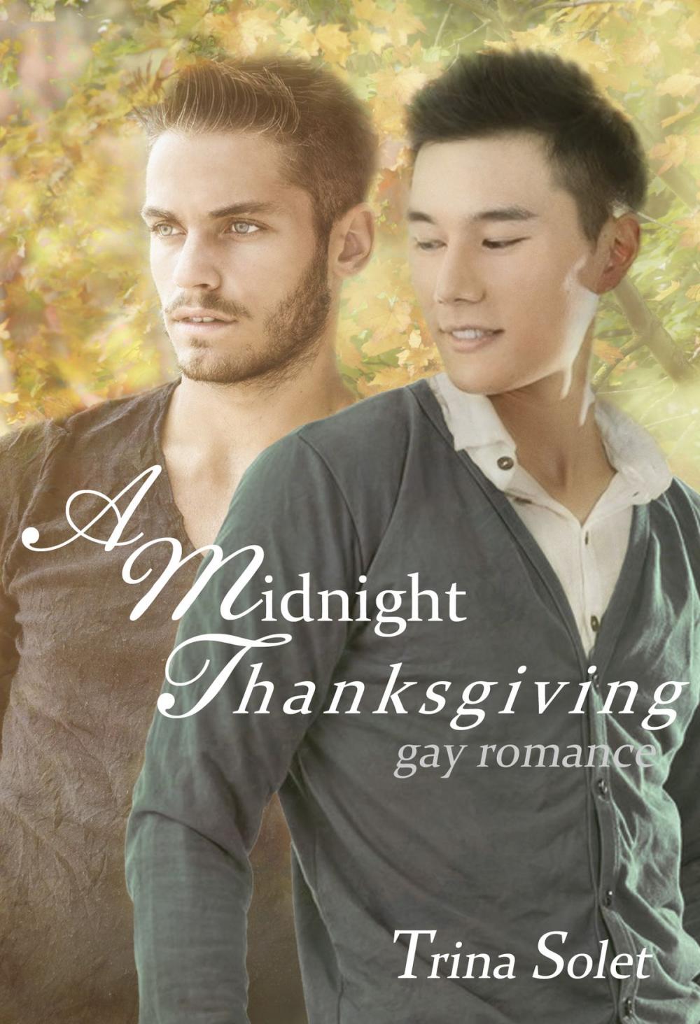 Big bigCover of A Midnight Thanksgiving (Gay Romance)