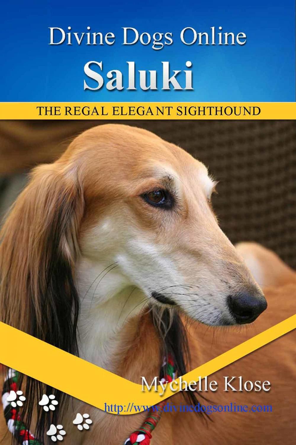 Big bigCover of Saluki