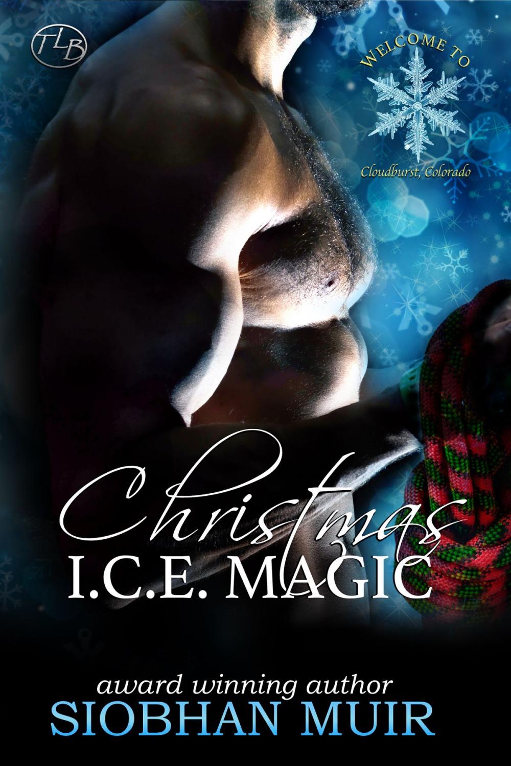 Big bigCover of Christmas I.C.E. Magic