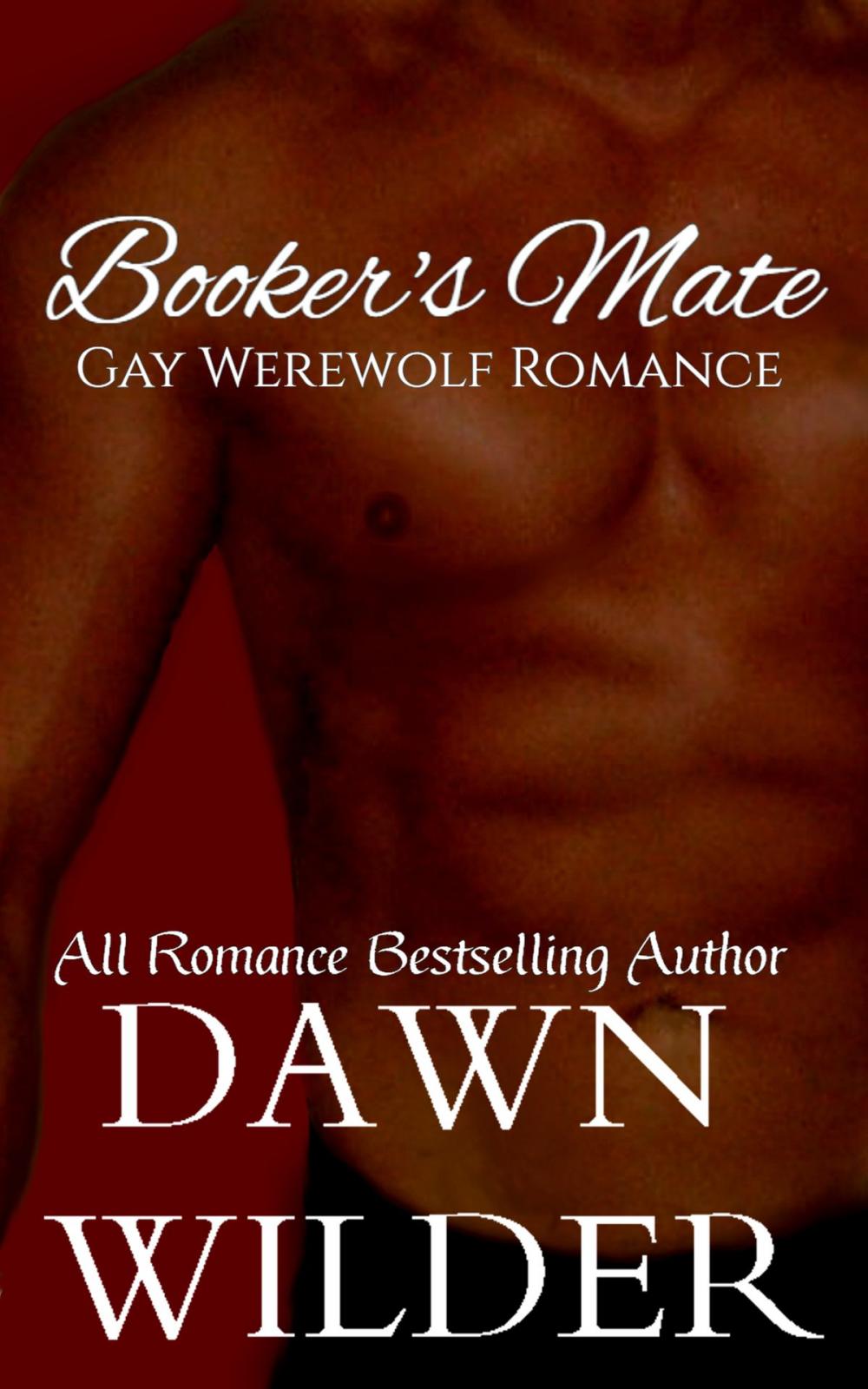 Big bigCover of Booker's Mate (Gay Werewolf Romance)